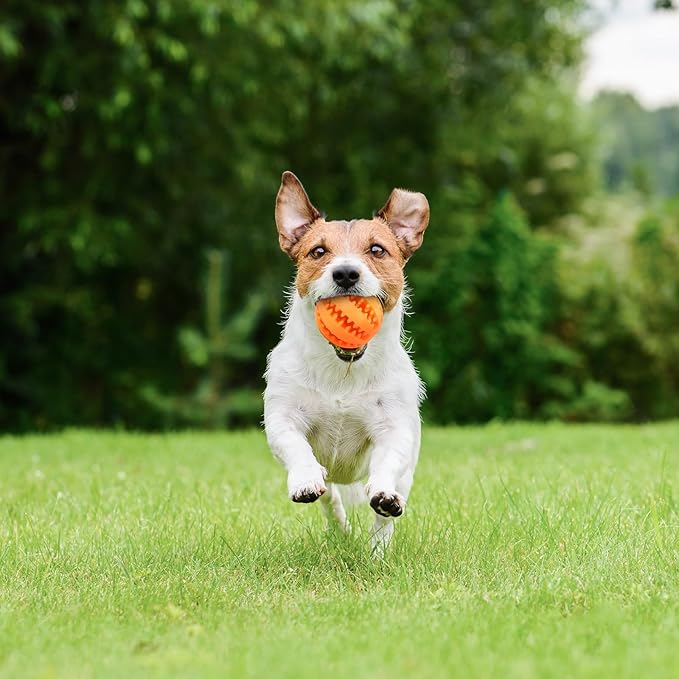 6 Pack Dog Puzzle Teething Chew Toy Balls Interactive Dog Toys for Treat Dispensing Durable Dog Ball for Puppy Tooth Cleaning