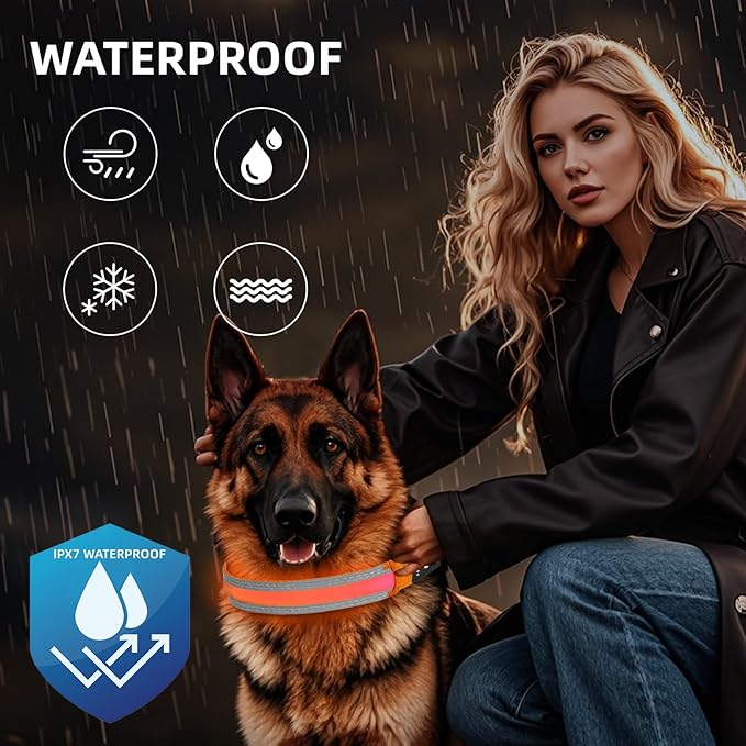 PetIsay LED Dog Collar Metal Buckle - Heavy Duty Light up Collars - Rechargeable IP68 Waterproof - Lighted Dog Collar for Night Walking, Hiking, Camping (Large, Orange)