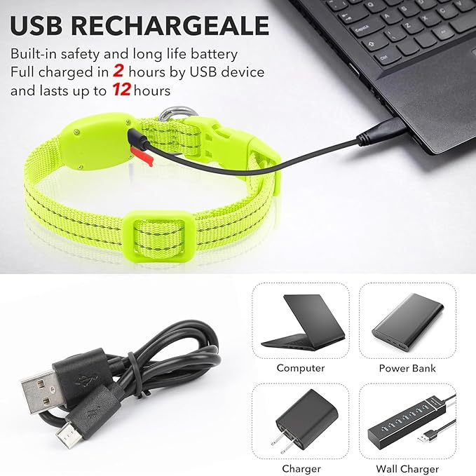 illumifun LED Dog Collar for Puppy, USB Rechargeable Light Up Collar, Lightweight Nylon Glowing Dog Collar for Your Small Pups& Cats (Green, X-Small)