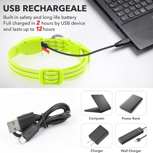 Light Up Collar for Small Dogs Cats - Reflective LED Dog Collar Glow in The Dark, Safety Pet Collar Lights for Nighttime Walking (Green)