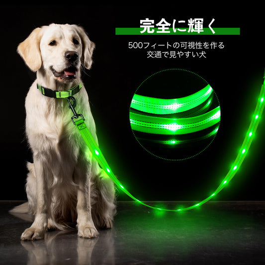Dolitego Light Up Dog Leash, 5 Ft LED Dog Leash Rechargeable Pet Leashes Glow in The Dark Dog Lights for Night Walking (Green)