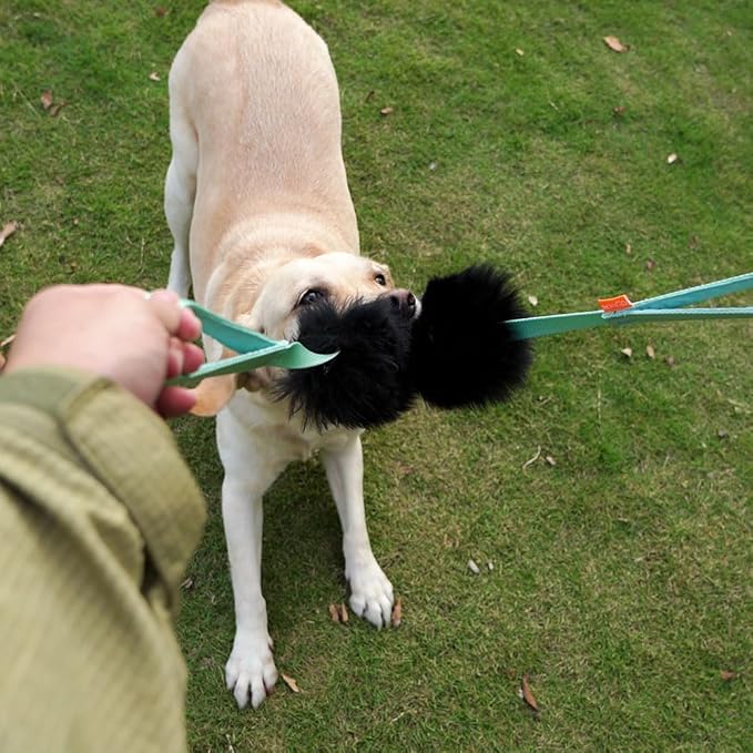 HOWGO Dog Bite Tug Toy with 2 Strong Handles - Made of Natural Sheepskin - Perfect for Tug of War, Fetch & Puppy Training - Ideal for Medium to Large Breeds (Pink)