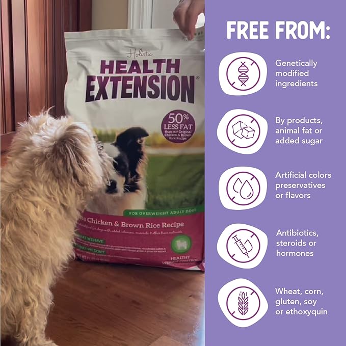 Health Extension Lite Chicken & Brown Rice Dry Dog Food (4 lb / 1.81 kg) - Low-Fat Formula with Glucosamine, Probiotics & Omega 3 for Overweight, Spayed, Neutered, or Senior Dogs (Pack of 2)