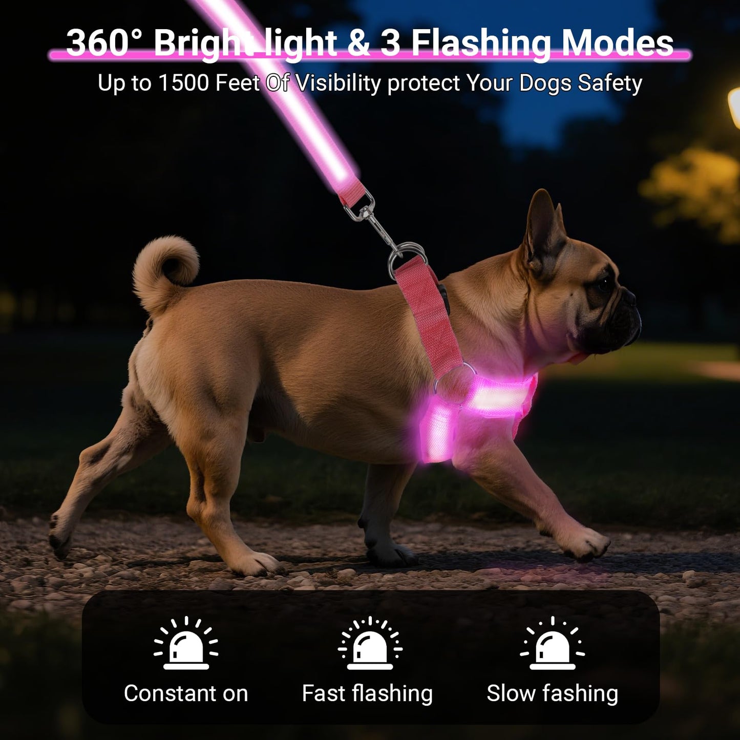 QVEEQ Light Up Dog Harness, led Dog Collar Rechargeable, Lighted Dog Collars for Night Safety Walking Camping Adjustable, Three Lighting Modes (Blue, S)