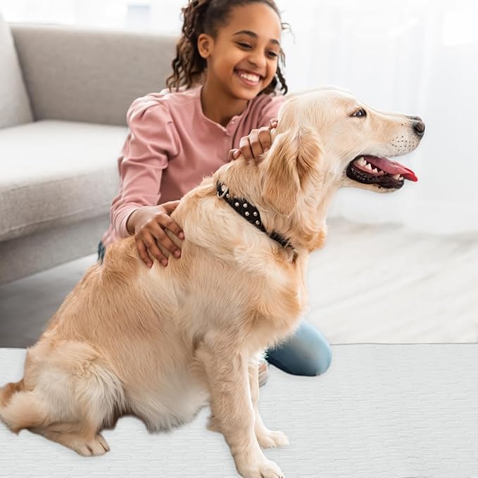 Dog Cooling Mat, Durable Machine Washable Pets Cool Pad, XX-Large, Grey