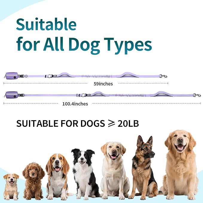 Hands Free Dog Leash with Removable Zipper Pouch, Dual Padded Handles and Durable Bungee for Walking, Jogging and Running-Purple