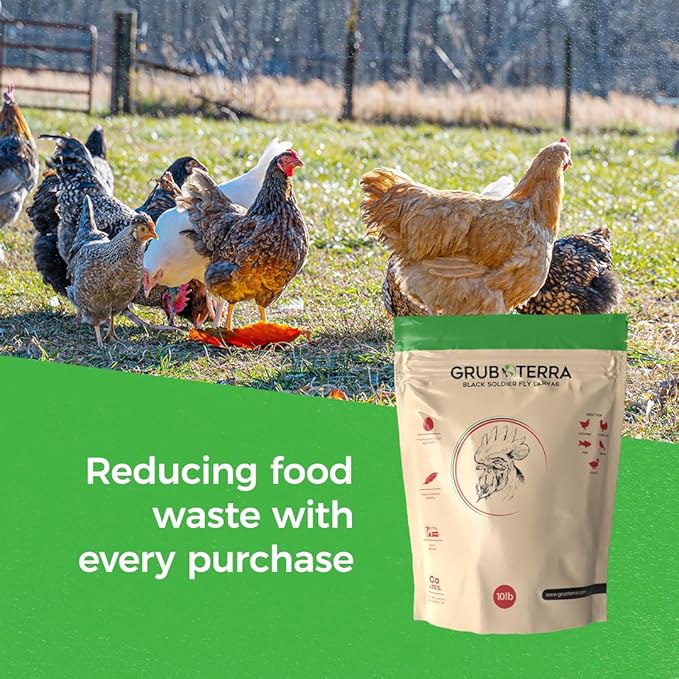 GrubTerra Golden Dried Black Soldier Fly Larvae - Premium Supplement to Increase Egg Production for Hen Treats, Bird Feed, Chicken Feeder, Pet Bird Food, and Wildbird Feed, Never from China! (10lb)