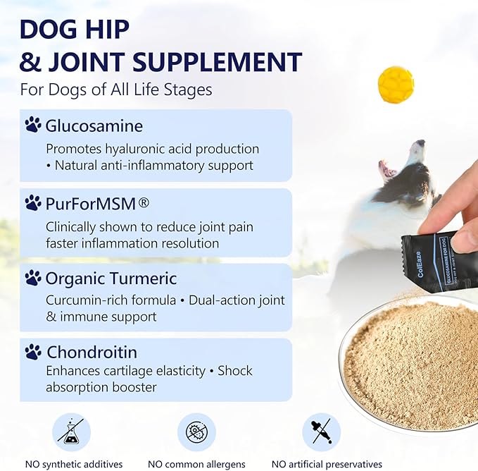 Glucosamine for Dogs - Dog Joint Supplement Powder, MSM & Turmeric - Joint Pain Relief, Mobility Support for All Ages & Breeds - 60 Ct. Box