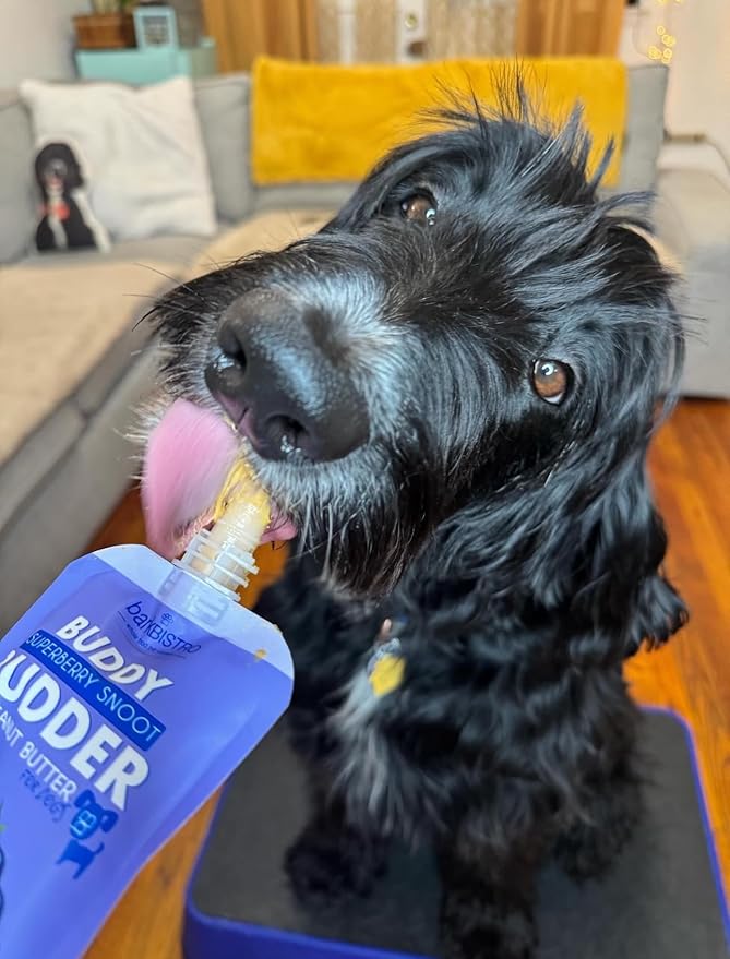 BUDDY BUDDER Bark Bistro Dog Lick Mat Set with Superberry Peanut Butter, Purple Enrichment Mat with Spatula, 4 oz Squeeze Pack