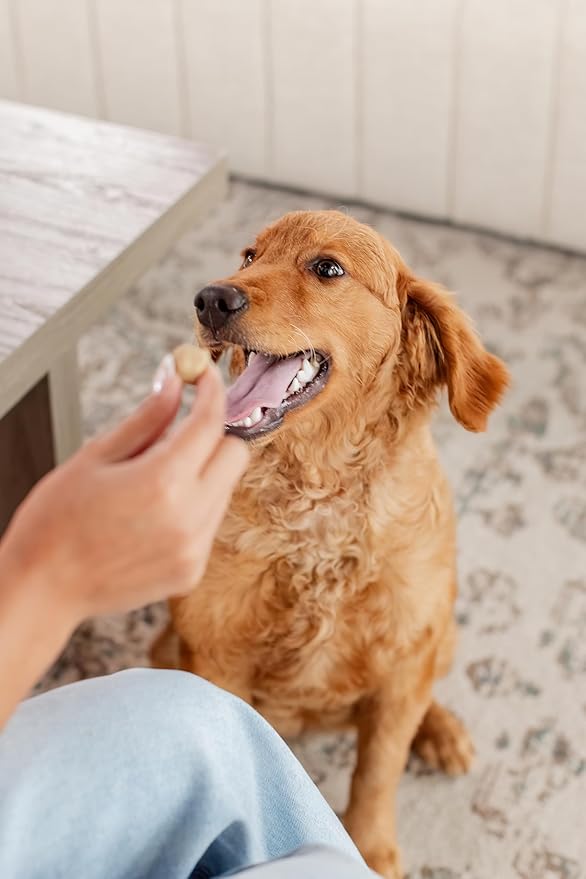 Freeze-Dried Dog Treats – Harvest Meatballs – Ground Beef, Turkey, Pumpkin, Sweet Potato & Cinnamon – Natural Treats for Small, Medium & Large Dogs – No Preservatives – 7 oz Bag