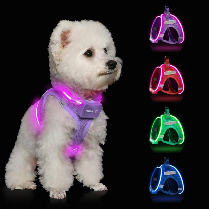 Light Up Dog Harness,Rechargeable LED Dog Harness for Small Medium Large Dogs,Reflective Lighted Safety Vest for Night Walking & Camping,Lightweight & Adjustable,Lavender Purple,S