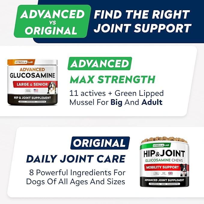 Advanced Glucosamine Chondroitin Joint Supplement for Dogs - Hip & Joint Pain Relief Pills - Green Lipped Mussel & Collagen - Large & Small Breed - Senior Dogs Joint Health - Bacon Flavor - 180ct