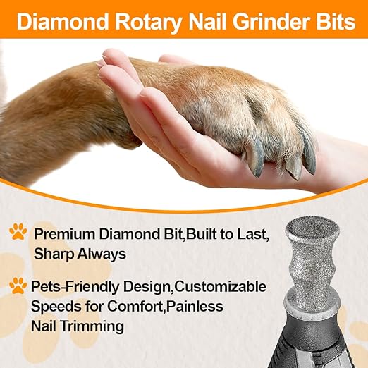 Diamond Rotary Pet Nail Grinder Replacement Heads Dog Nail Grinder Bit-BGTEC 5PCS 1/8" Diamond Replaceable Tip for Pet Claw Grooming(B)