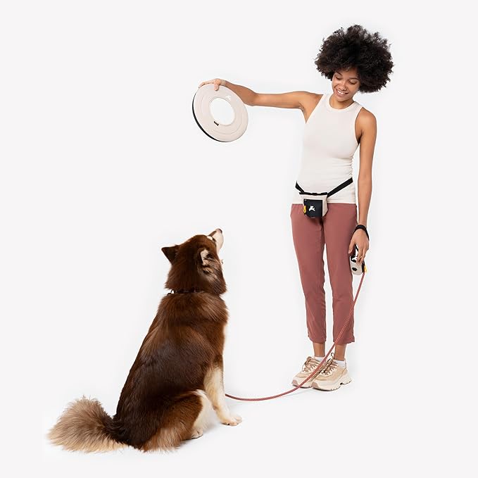 OllyDog Super Flyer | Durable Dog Frisbee | Soft & Lightweight Flying Disc | Gentle on Teeth & Gums | Water-Resistant Outdoor Toy (Con Leche)