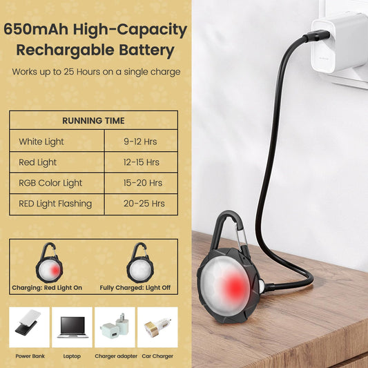 HAJIMMIU Dog Lights for Night Walking, 2 Pack Clip On Dog Collar Light with 4 Modes, 650mAh Rechargeable LED Pet Collar Charm for Nighttime