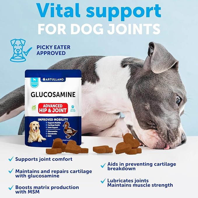 Glucosamine for Dogs Joint Pain Relief - Hemp Hip and Joint Supplement for Dogs - Chews with Chondroitin, MSM, Hemp Oil - Mobility Support - Canine Cartilage Health - 70 Soft Treats - Made in USA