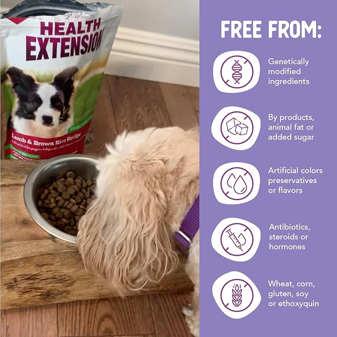Health Extension Lamb & Brown Rice Dry Dog Food (30 lb / 13.61 kg) - Nutritious Free-Range Lamb Formula with Probiotics, Antioxidants & Omega 3 for Dogs with Sensitive Digestion