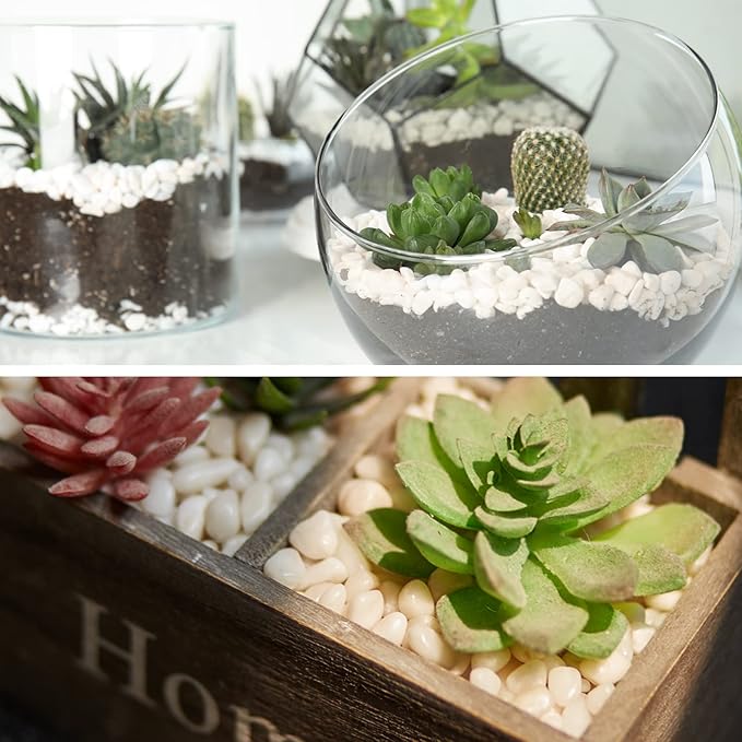 GASPRO 2.5 Pound Pebbles for Indoor Plants, 3/8" Decorative White Rocks for Vases, Planters, Succulents, Highly Polished Aquarium Gravel, Smooth Surface and Fade Resistant