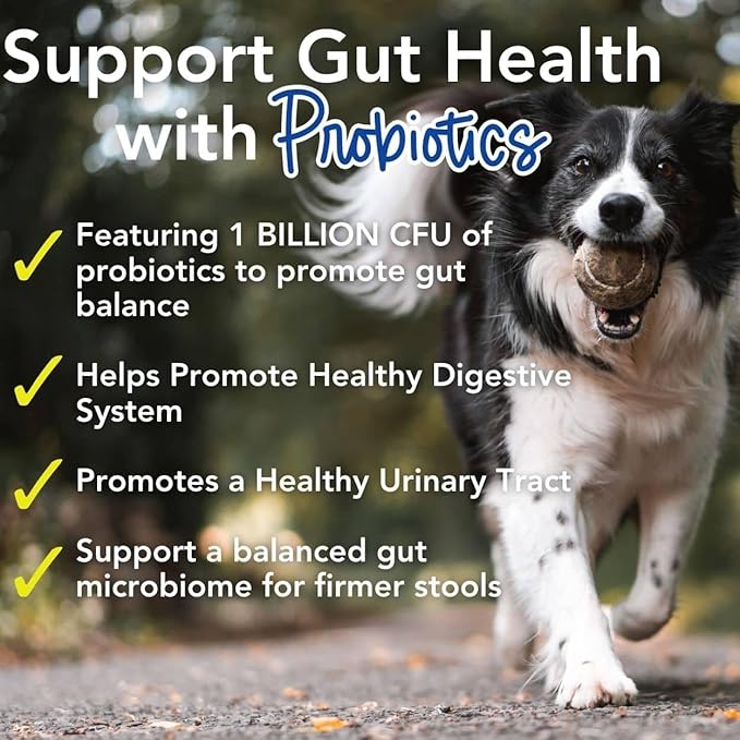 iHeartDogs 24-in-1 Adult Dog Multivitamin Daily+ Total Health Support Powder with Probiotics, Omega-3, Glucosamine, Mushrooms & Bone Broth - 60 Servings