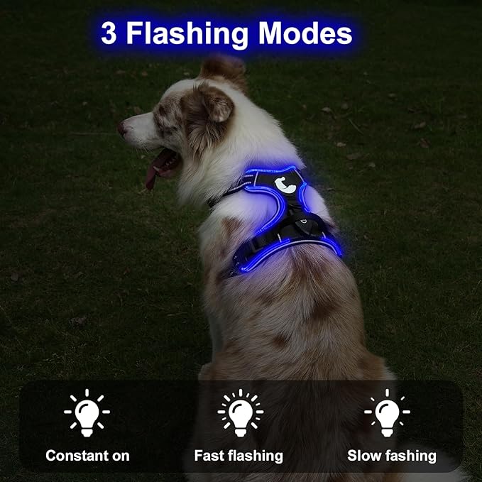 Taglory Light Up Dog Harness, Rechargeable No Pull Dog Vest with 3 Lightning Modes, Reflective Dog Harness with 2 Leash Clips & 4 Adjustable Slide Strips for Large Dogs, Black-Blue, XL