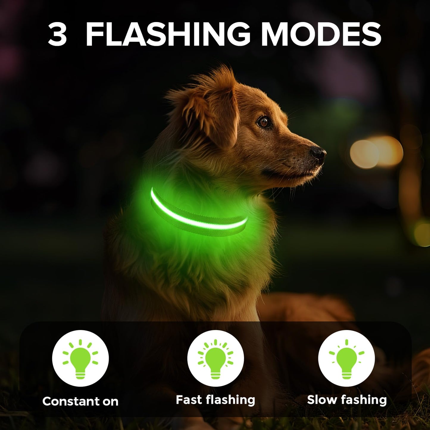 Jewyow Light Up Dog Collar, Adjustable USB Rechargeable Glow in Dark Dog Collar ，Waterproof Dog Collars for Small Dogs (Green, Small)