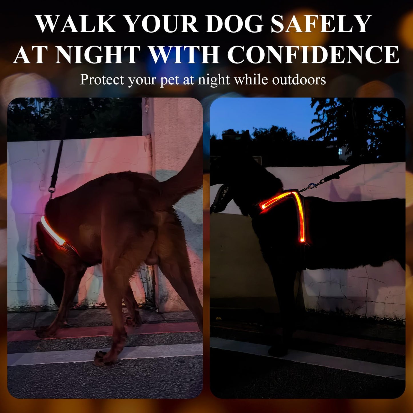 HDhqzm Light Up Dog Harness, LED Dog Harness-7 Lighting Modes, Rechargeable, Lightweight and Adjustable, Suitable for Small and Medium Dogs, Glowing Safety Vest for Nighttime Dog Walking