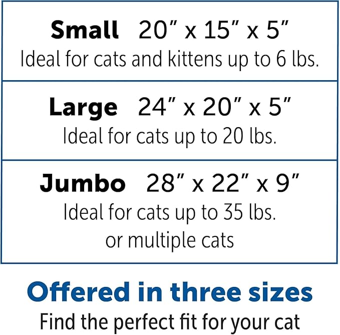 KittyGoHere Senior Cat Litter Box 2 Pack, Large Storybook Lavender Low Entrance Kitty Litter Box, Sized for Cats Comfort, Perfect for Senior and Arthritic Cats, Made in USA