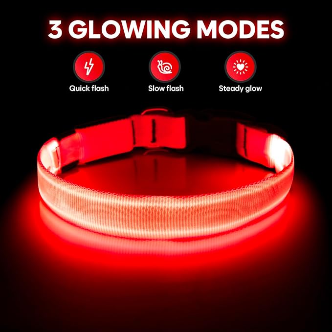 Illumifun Light Up Dog Collar - USB Rechargeable LED Dog Collar Glow in The Dark, Adjustable Pet Collar Light for Night Walking (Red, Medium)