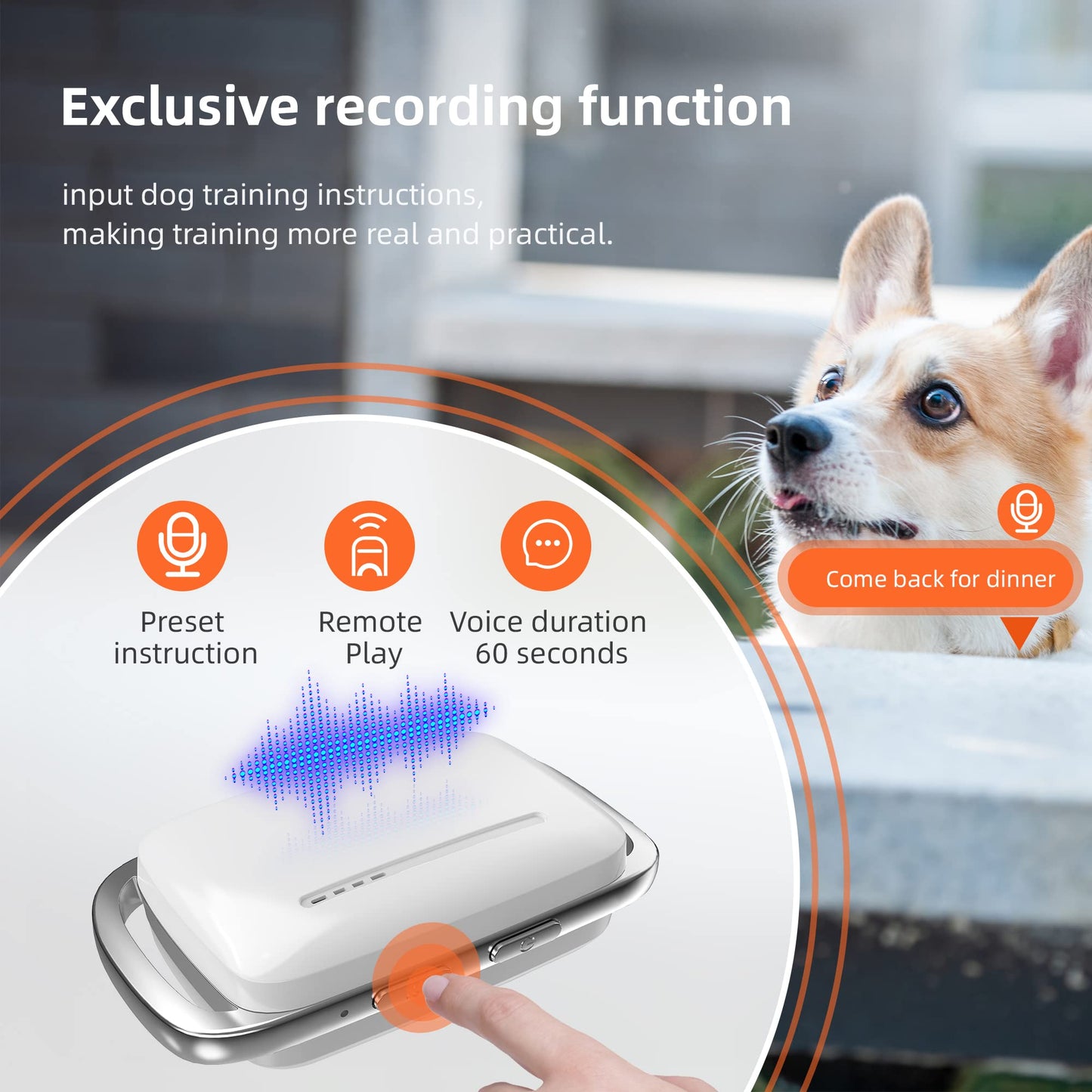 JS.EQT Recording Dog Shock Collar Waterproof Rechargeable E-Collar for Dogs with 16 Levels Beep Vibration Shock Electric Dog Training Collar with Remote