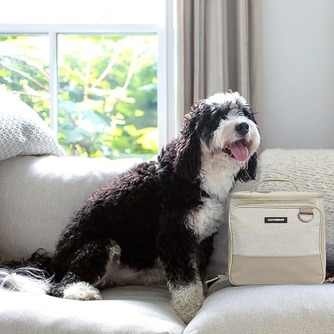 Large 7-Piece Bistro Box Dog Food Travel Kit, 12-Cup Kibble Storage, 2 Silicone Bowls, Mat & Scoop - Premium Portable Pet Food Kit for Weekends, Overnights, Daycare & Camping, Sand