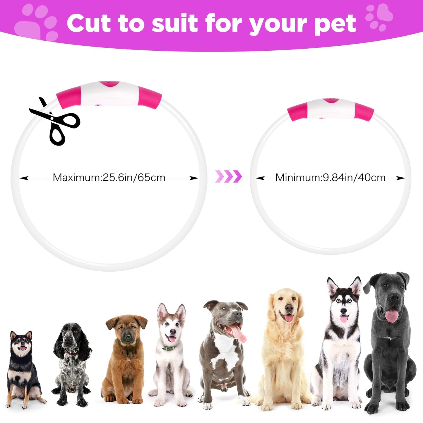 2 Pack Light Up Dog Collar, USB Rechargeable Dog Collar Light for Night Walking, Led Lighted Dog Collar, Glow in The Dark Dog Collar for Small Medium Large Dogs (Pink+Blue)