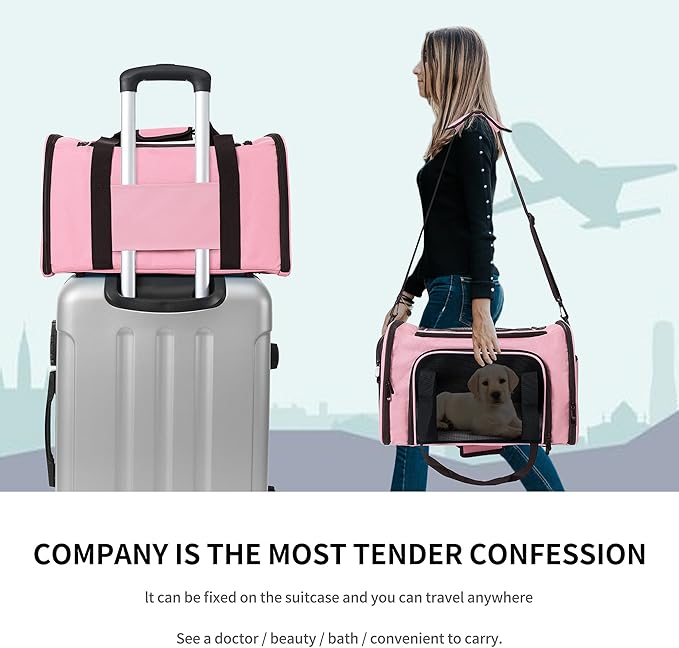 Mile High Life | Outdoor Travel Pet Carrier | Kitty Puppy Cat Carriers | Collapsible Dog Carrier for Small Medium Dogs | Cat Crates w Breathable Mesh with Soft-Sided (Pink, Medium)