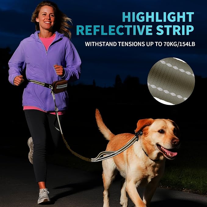 Hands Free Dog Leash with Removable Zipper Pouch, Dual Padded Handles and Durable Bungee for Walking, Jogging and Running-Brown