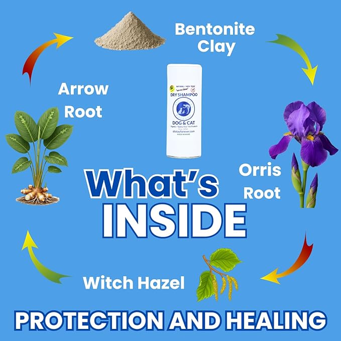 Sit Stay Forever Dry Powder Shampoo for Dogs, Dry Shampoo for Smelly Dogs and Cats, Talco para Perros y Gatos, Shampoo for Stinky and Itchy Skin, Waterless Dog Shampoo, 28 oz