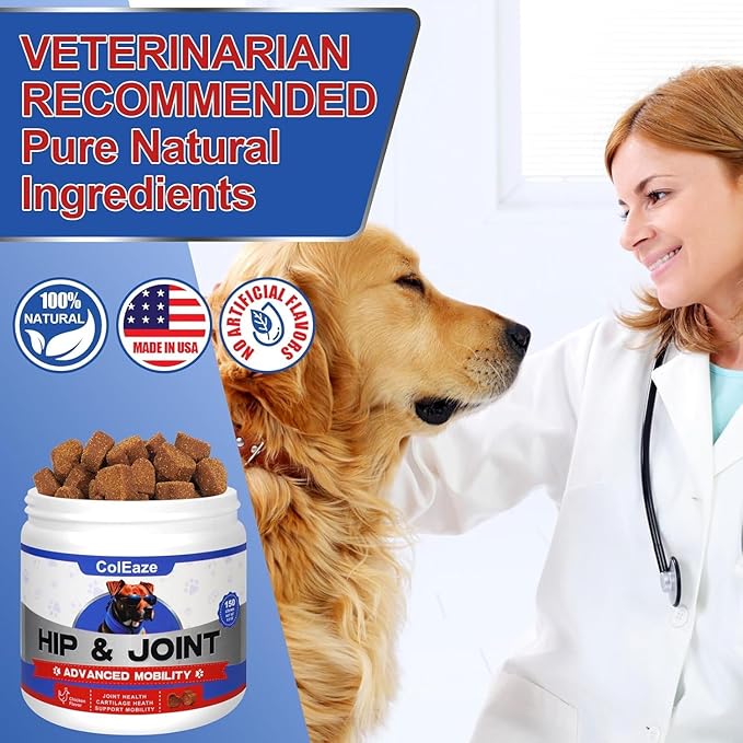 Glucosamine for Dogs 150 Count - Hip and Joint Supplement Chews with Chondroitin, MSM & Turmeric, Chondroitin Joint Supplement for Dogs - Hip & Joint Care for Joint Pain Relief - Chicken Flavor