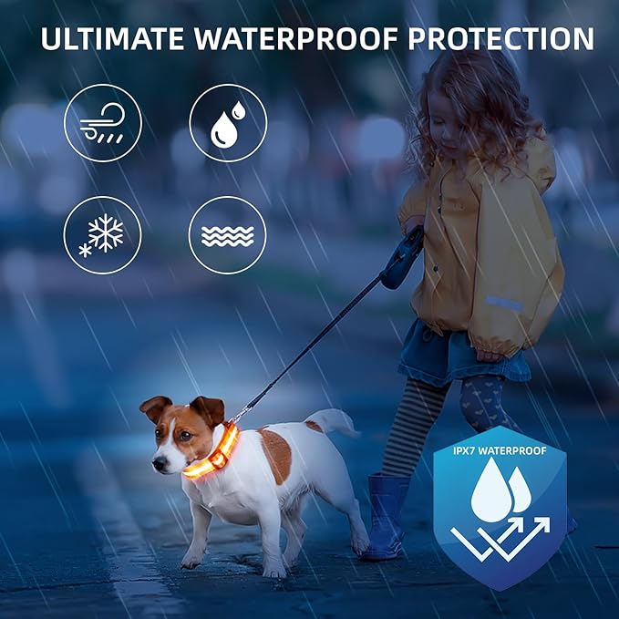 Super Bright LED Dog Collar - Fully Waterproof & Adjustable Glow Collar - USB-C Rechargeable for Night Walking, Safety - Flashing Lighted Collar for Dogs(Orange,M)