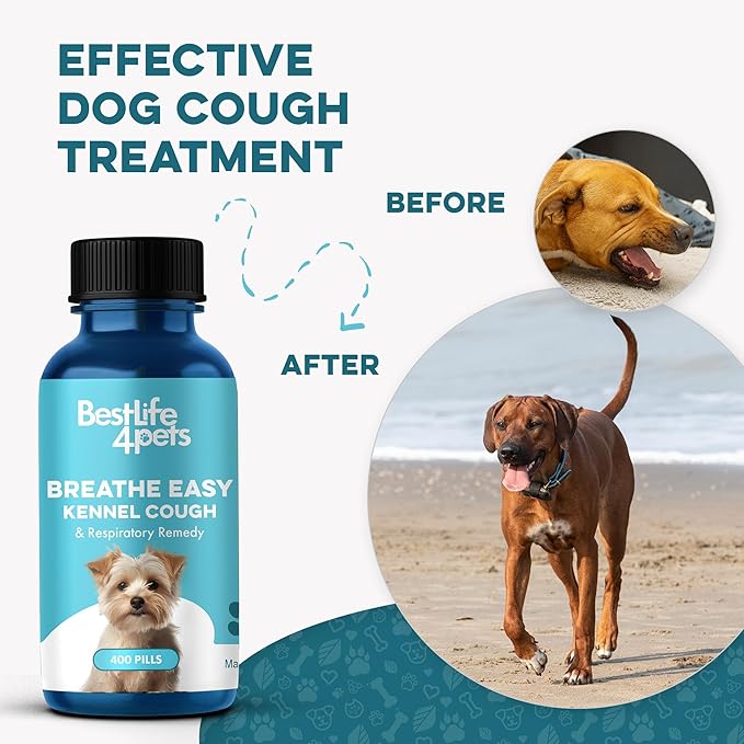 Kennel Cough Treatment & Dog Nasal Congestion Relief, Natural Dog Cough Suppressant & Cold Remedy, Breathe Easy Reduces Wheezing, Sneezing, Cold, Breathing and Respiratory Issues, 400 Small Pills