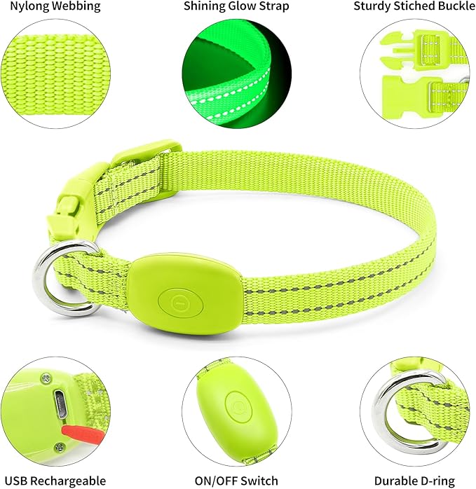 illumifun LED Dog Collar for Puppy, USB Rechargeable Light Up Collar, Lightweight Nylon Glowing Dog Collar for Your Small Pups& Cats (Green, X-Small)