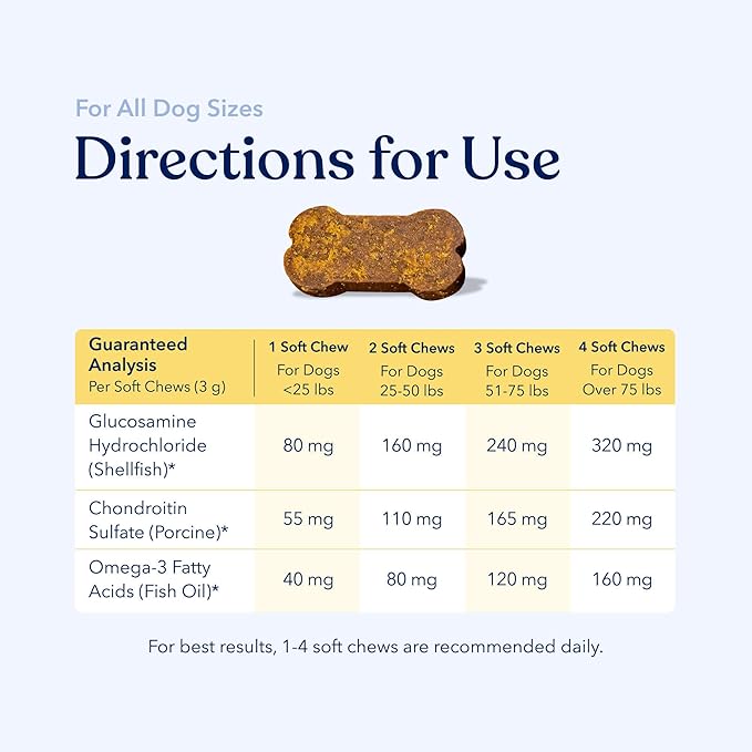 Honest Paws (90 Count) Dog Multivitamin Soft Chews with 10 Essential Vitamins - Joint, Coat, Immune, Eye & Heart Support - with Glucosamine, Chondroitin & Omega-3 - Beef Flavor