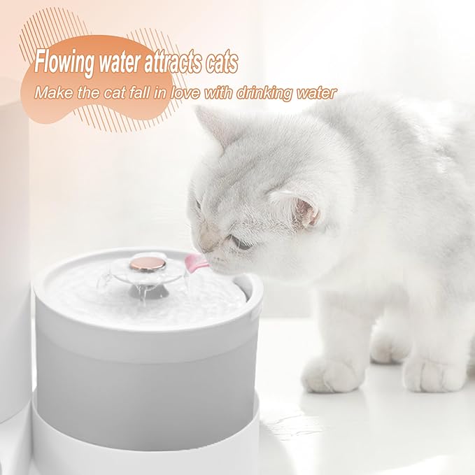 Automatic Water Fountain and Gravity Pet Feeder for Cat,Large Capacity Feeder Set, with Pet Hair Filter and Stainless Steel Bowl, Ideal for Puppies,Cats,Small to Medium Dogs,Rabbits