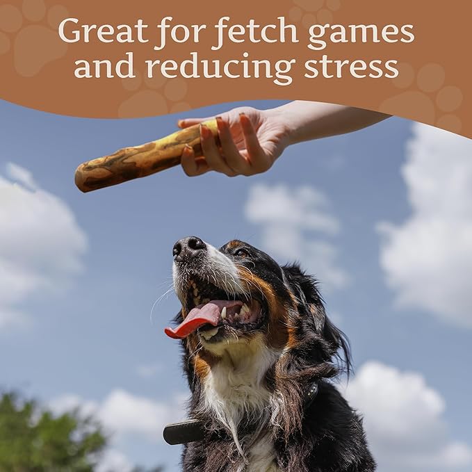Wildfang® Olive Wood Chewing Sticks for Dogs, Large - Tough Chew Toys for Aggressive Chewers, Puppy Chew Toys for Teething, Training for Chewing Muscles, Olive Wood Stick for Dog (Over 55lbs), 3pack
