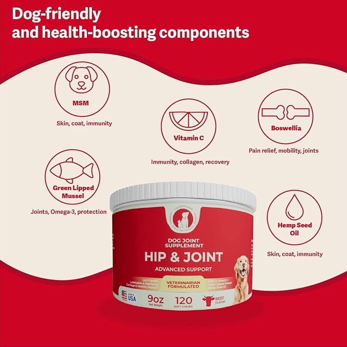Hip & Joint Supplement for Dogs – Advanced Mobility Support with Glucosamine, Chondroitin, MSM, Turmeric & Green Lipped Mussel – 120 Soft Chews for Large, Medium & Small Dogs – Beef Flavor