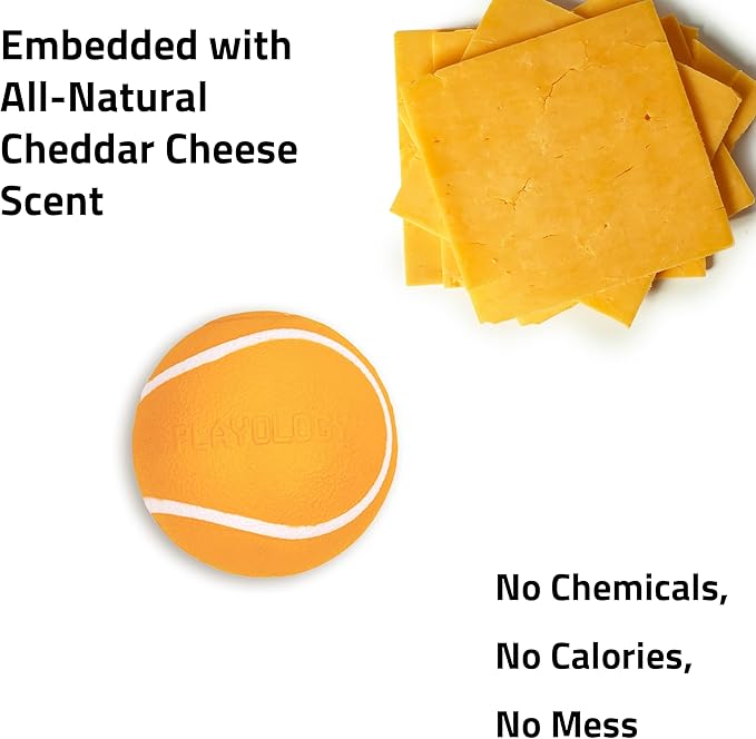 Playology Squeaky Dog Toy | Durable Rubber Interactive Dog Ball | Beef Scented Fetch Ball for Small Dogs, Value 3-Pack | Floating Dog Toy Made from Non Toxic Materials