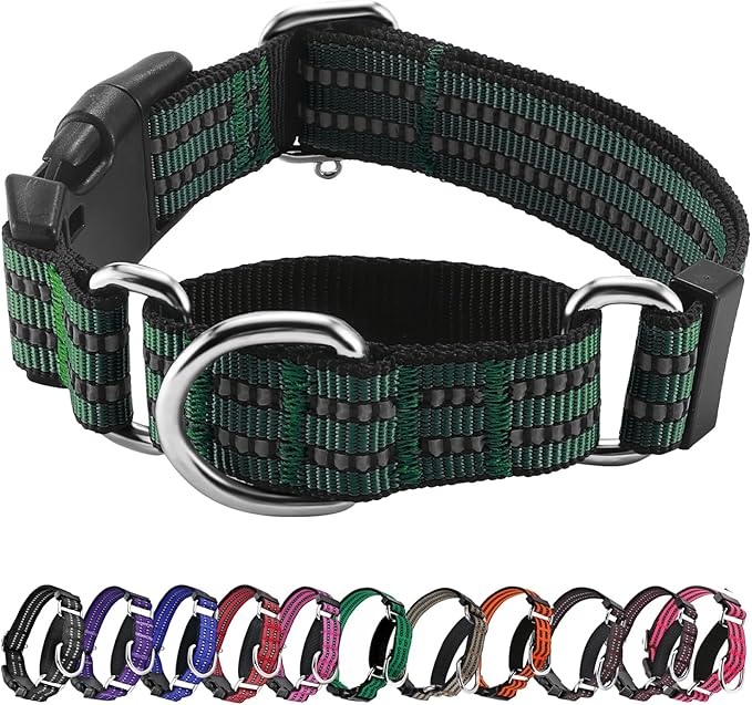 Hikiko Martingale Dog Collars Reflective Nylon Dog Collar with Quick Release Buckle Adjustable Training No Slip Dog Collar (Medium, Dark Green)