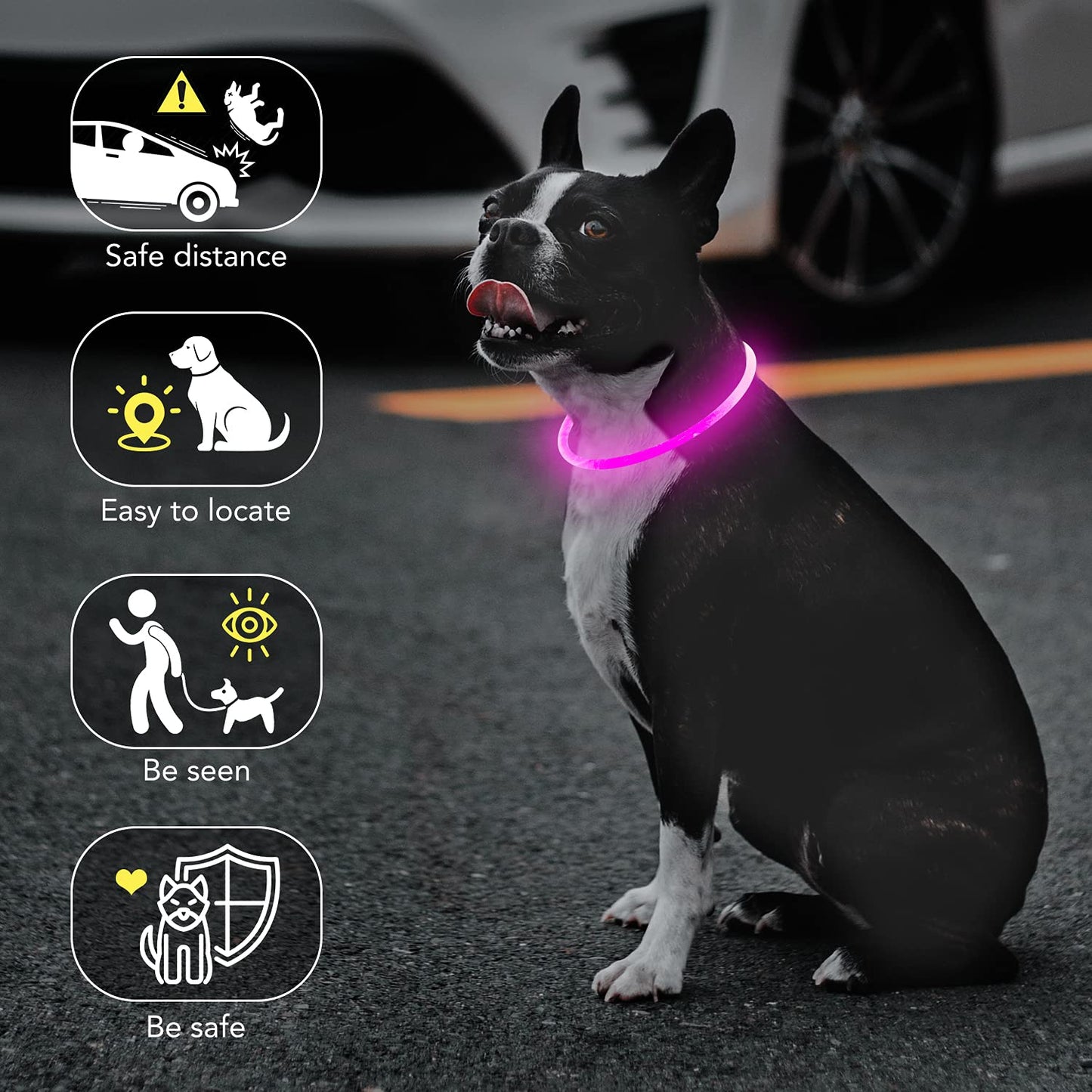 Colaseeme LED Dog Collar, Light Up Dog Collar 1 Count USB Rechargeable TPU Glow Safety Dog Necklace Light, Dog Lights for Small Medium Large Dogs, Please Do Not Use Fast Charging (Pink)