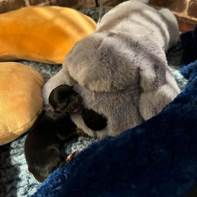 Original Snuggle Puppy Toys for Small Breeds - Heartbeat Puppy for Dogs - Pet Anxiety Relief and Calming Aid - Comfort Dog Toys for Behavioral Training