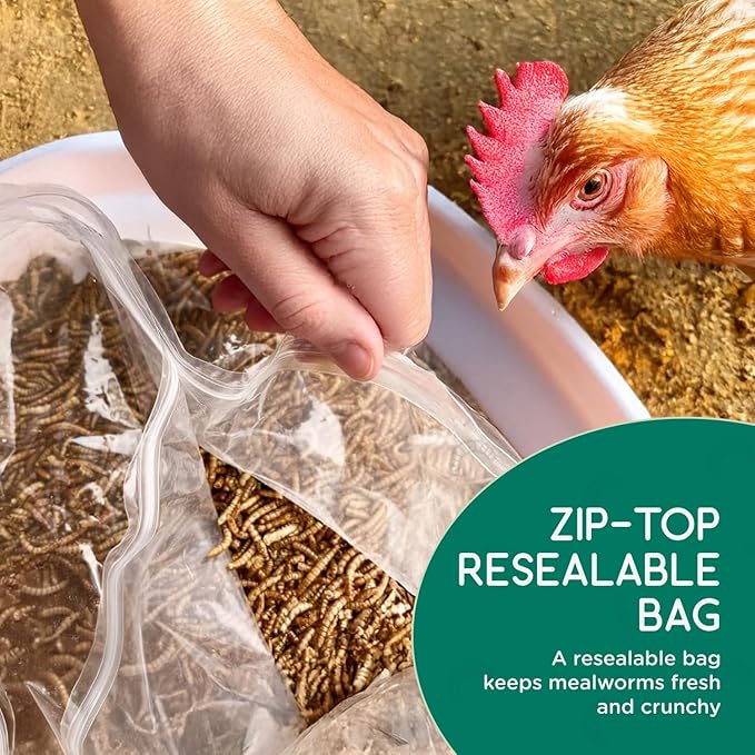 FLYGRUBS 5 lb Dried Black Soldier Fly Larvae - High-Calcium Chicken Treats for Laying Hens and Wild Birds - Nutrient-Rich Mealworm Alternative - Supports Feather Growth and Strong Eggshells