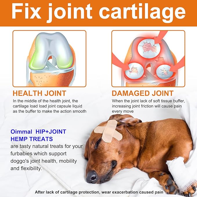 Hip and Joint Supplement for Dogs,Hip & Joint Pain Relief Pills - Large & Small Breed - Hip Joint Chews Canine Joint Health,Mobility & Flexibility Support -Duck Flavor 60 Count