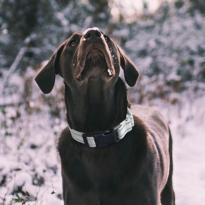 Hikiko Reflective Martingale Collar for Small Dogs with Buckle Adjustable Training Walking No Slip Collars, Sliver Gray, S