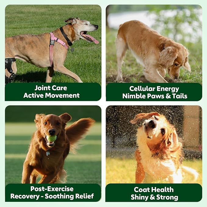 NAD Supplement for Senior Dogs - 3-in-1 Joint Supplement for Dogs, Skin & Coat Care Chews with Glucosamine, NMN, Omega-3 - Bacon Flavor, 90 Count for Arthritis & Allergy Relief (90Ct, Bacon)